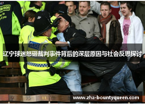 辽宁球迷怒砸裁判事件背后的深层原因与社会反思探讨
