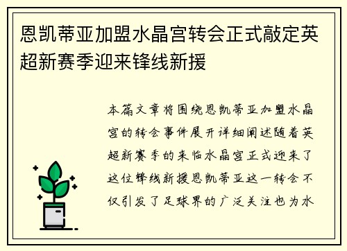 恩凯蒂亚加盟水晶宫转会正式敲定英超新赛季迎来锋线新援
